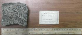 Feather Amphibolite