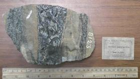 Feather Amphibolite