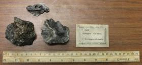 Corundum and mica