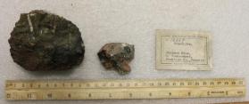 Scapolite