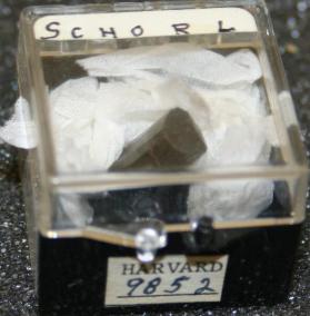 SCHORL