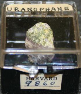 Uranophane