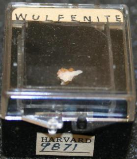 Wulfenite
