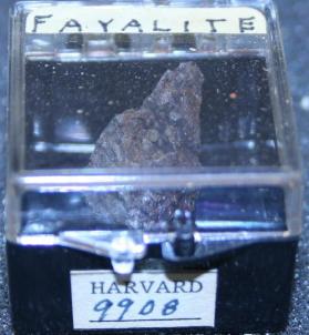Fayalite