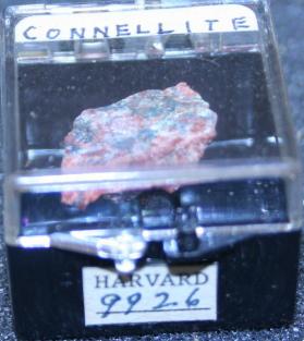 Connellite