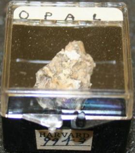 OPAL
