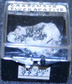 carbonate-fluorapatite