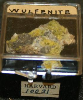 Wulfenite
