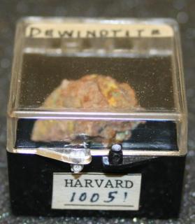 Dewindtite