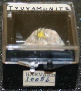 Tyuyamunite