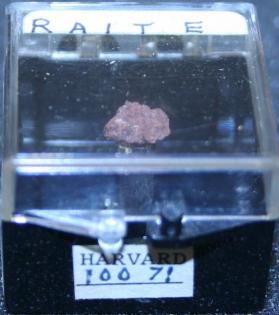 Raite