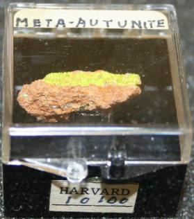 Meta-autunite