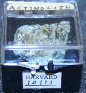 Actinolite