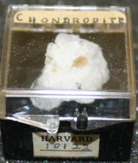 Chondrodite