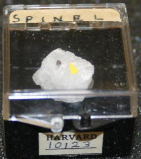 SPINEL