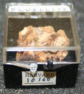 Fluellite