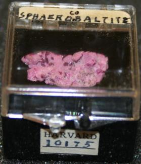 Sphaerocobaltite