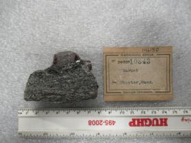 Garnet