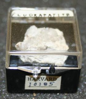 FLUORAPATITE