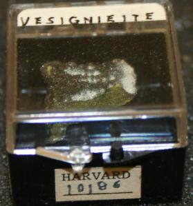 Vésigniéite