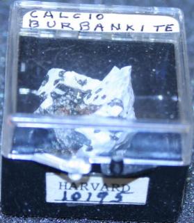 Calcioburbankite