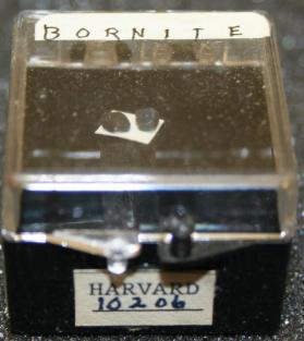Bornite