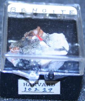 Behoite