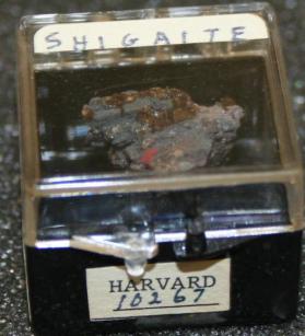 Shigaite