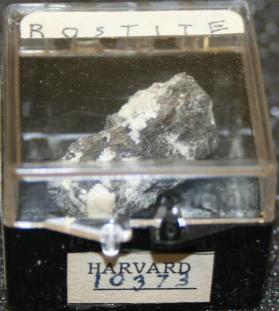 Rostite