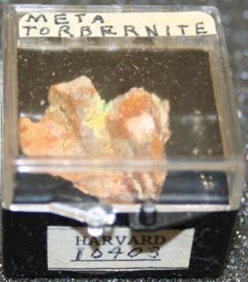 Metatorbernite