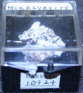 Mckelveyite-(Y)