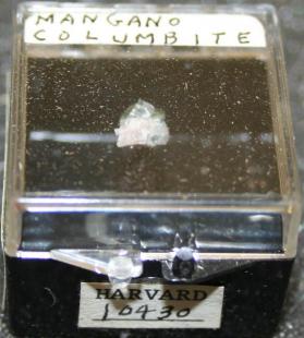 Manganocolumbite