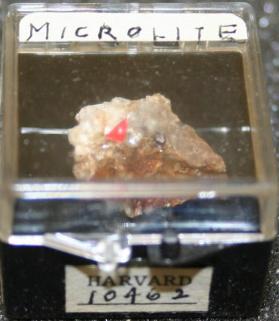 Microlite