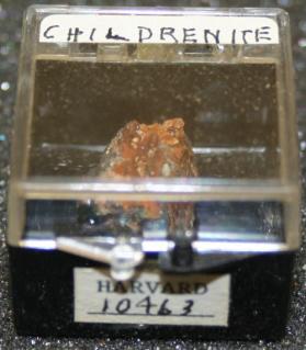 Childrenite