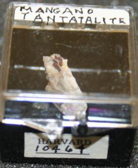 Tantalite-(Mn)