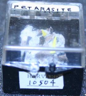 Petarasite