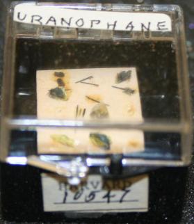Uranophane