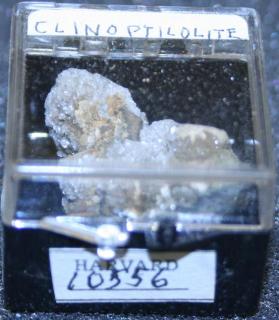 Clinoptilolite