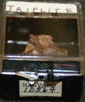 Triplite