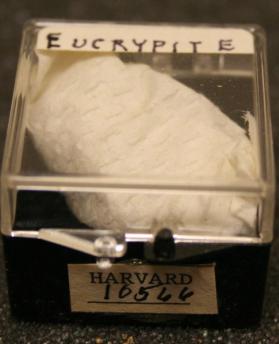 Eucryptite