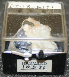 Djurleite