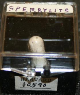 Sperrylite