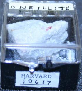 Oneillite