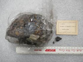 ANDRADITE with Bornite and Magnetite and SCHEELITE