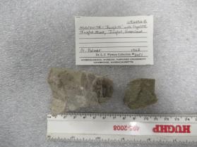 ivigtite with FLUORITE