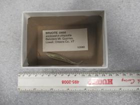 BRUCITE