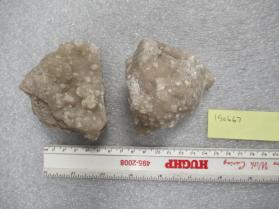 Nobleite on Colemanite