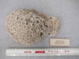 chalcedony
