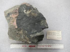 Rockbridgeite