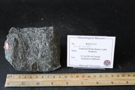 Temescal Quartz Latite Porphyry